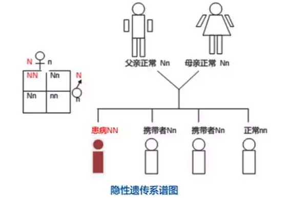 听力检查仪：新生儿耳聋防治的十大问题