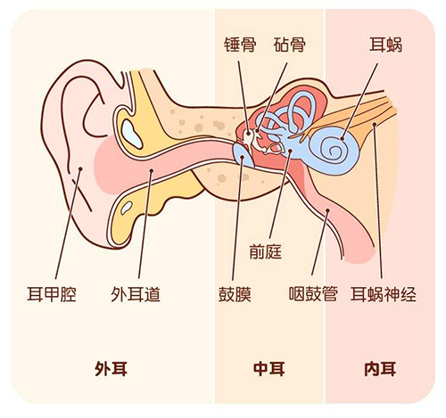 哪些因素可能影响新生儿听力检查仪检测结果