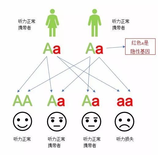 听力筛查仪分析预防遗传因素导致听力损失的具体措施