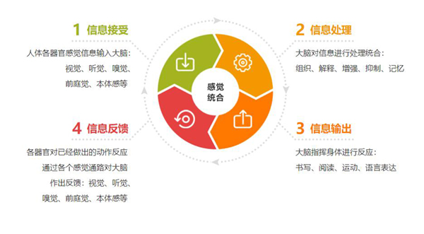 通过儿童综合素质测试仪可以对不同类型的学习困难儿童智力做分析